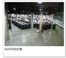 NAFEM